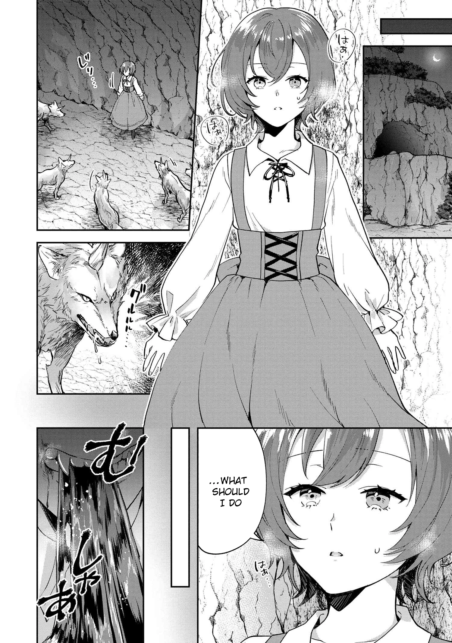 The Zero-Weakness Vampire’s Territory Reforms Chapter 1 - . Page 17